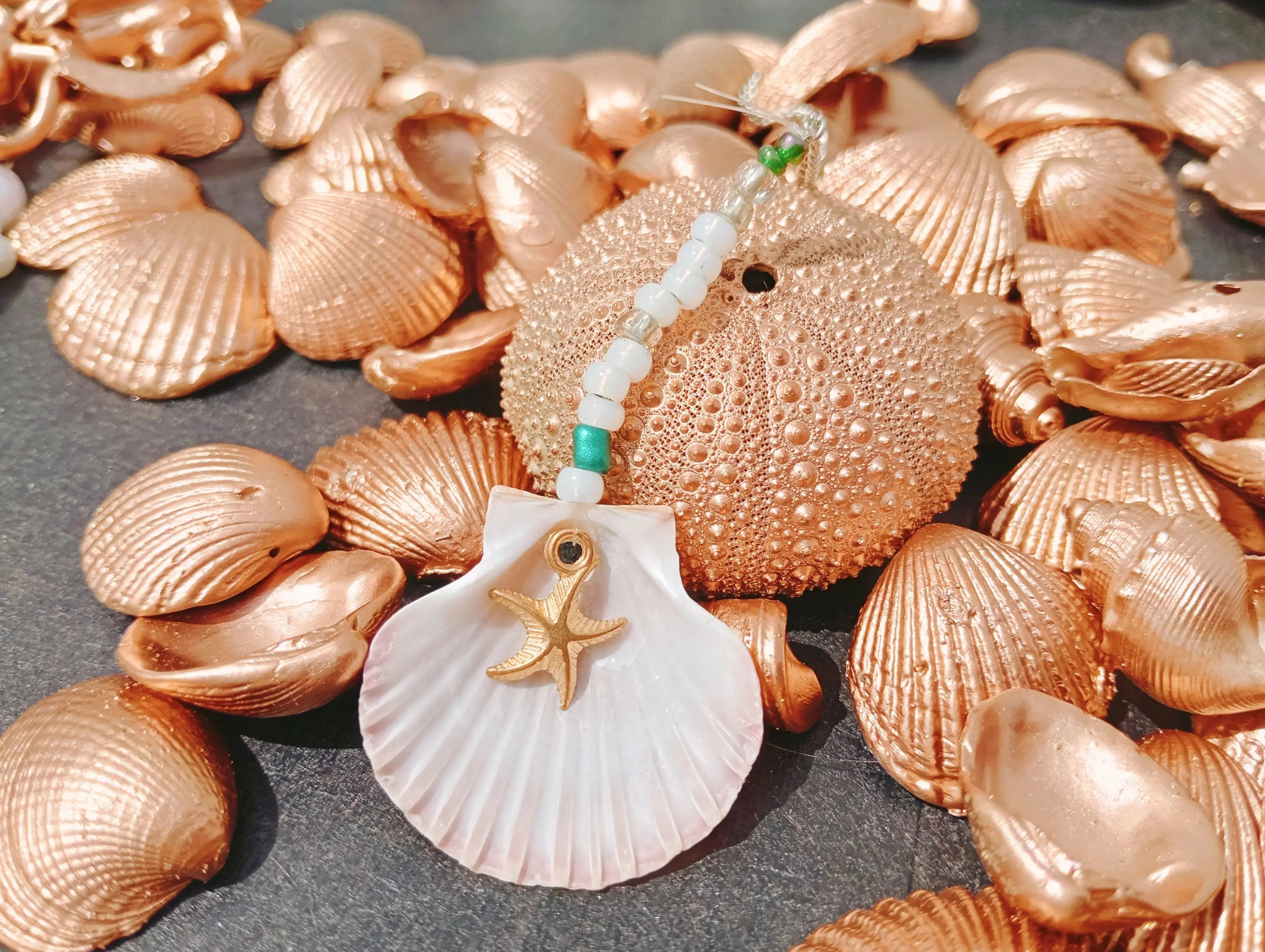 Beach Foraging