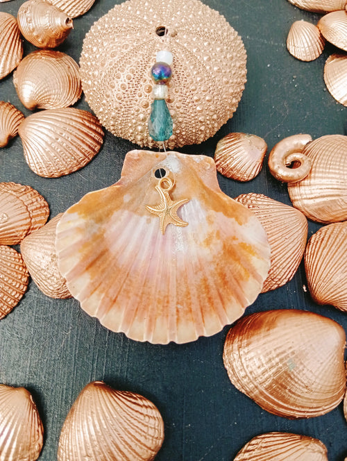 Charmed Shell ARTC